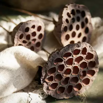 Left bank wheat field Qiyue Lotus head simulation retro old long branch dried flower indoor living room decoration decoration