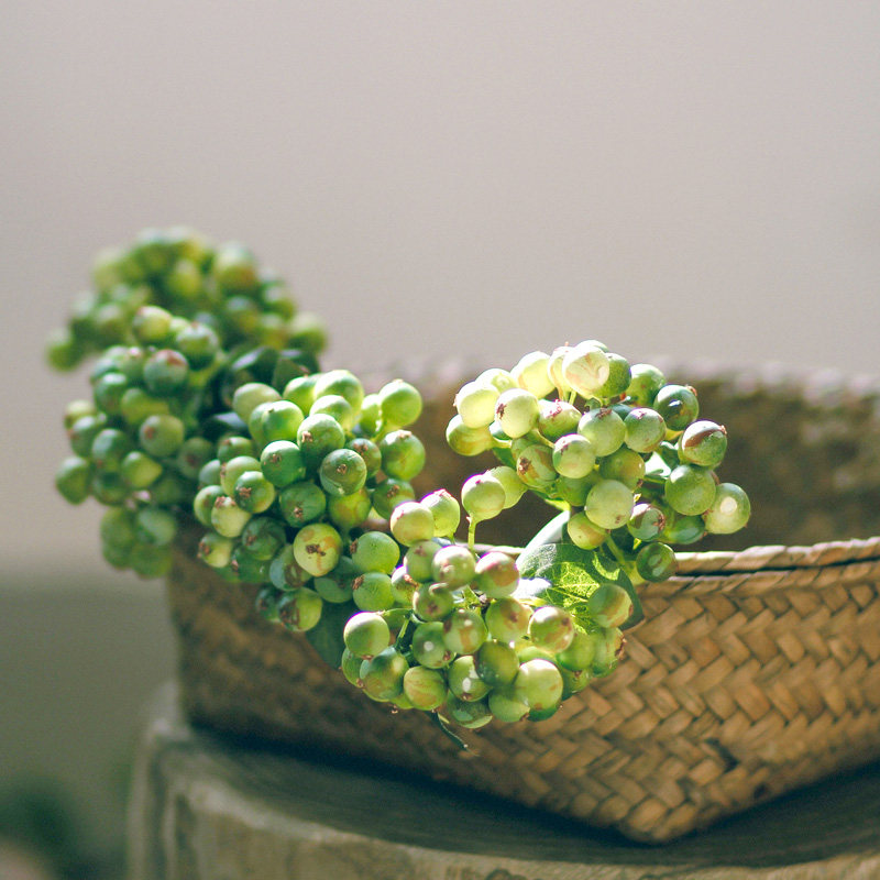 The Left Bank of Rice Pastoral Various Simulation Berry Fruit Fruit Fruit Fruit Fruit Fruit Fruit HomesSimulation Accessories