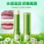 Lip Balm Môi dưỡng ẩm Giữ ẩm lâu dài Chống nứt nẻ Chống nứt dầu Không màu Môi điều dưỡng Nam và nữ son dưỡng làm hồng môi