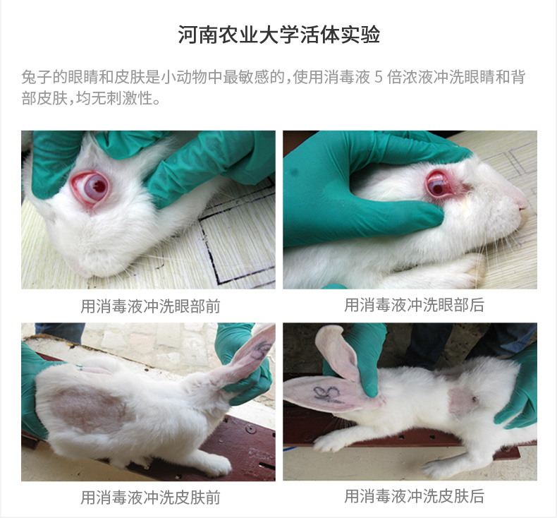 Một con chó khử trùng vật nuôi Lixiao khử trùng môi trường khử trùng hộ gia đình trong nhà chó khử trùng nước khử trùng mèo - Cat / Dog Beauty & Cleaning Supplies 	lược chải lông cho mèo	