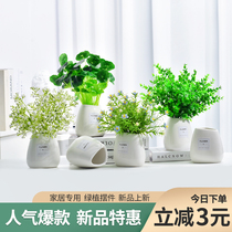 The Nordic insin style is really multi-meat green plant potted planting living room with small pot view table decorations