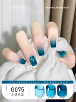 G075 прозрачная утка Blue