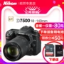 [Cửa hàng đặc biệt] Nikon Nikon D7500 kit 18-140 SLR kỹ thuật số HD camera cấp chuyên nghiệp máy ảnh olympus