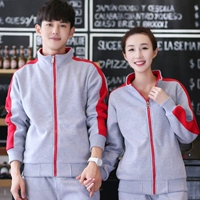 209 Grey обычная модель