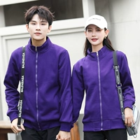 208 Пурпурная обычная модель