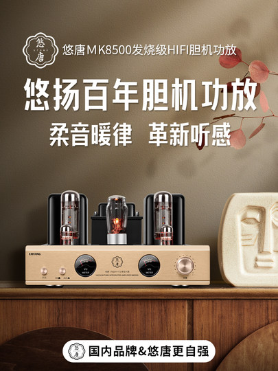 Youtang Mk8500 Tube Amplifier Class a Audiophile-Grade Power Amplifier Hifi Audiophile Tube Single-Ended Pure Tube Amplifier Audio