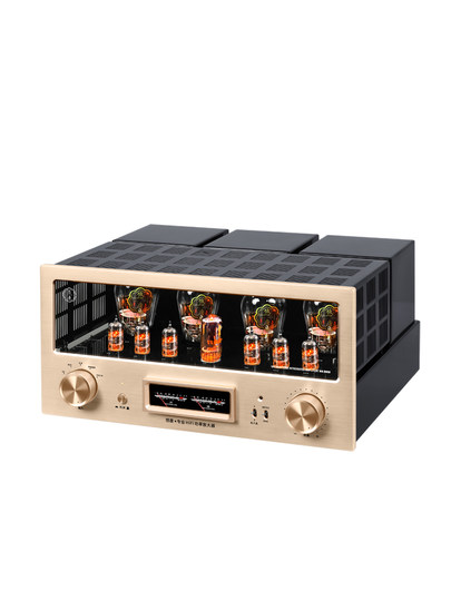 Youtang Mk9000 Tube Amplifier Audiophile-Grade 300B Tube Amplifier Pure Class a Push-Pull High-End Hifi Tube Amplifier