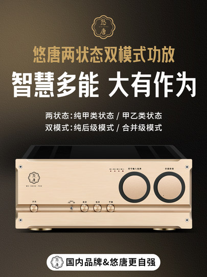 Utang MK8600pro amplificador de alta potencia HiFi de grado de fiebre, amplificador puro A/Clase A y B de etapa trasera para el hogar