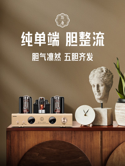 Youtang Mk8500 Tube Amplifier Class a Audiophile-Grade Power Amplifier Hifi Audiophile Tube Single-Ended Pure Tube Amplifier Audio