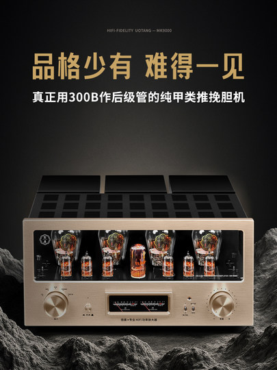 Youtang Mk9000 Tube Amplifier Audiophile-Grade 300B Tube Amplifier Pure Class a Push-Pull High-End Hifi Tube Amplifier