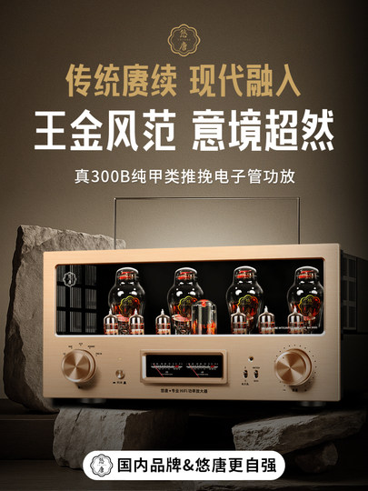 Youtang Mk9000 Tube Amplifier Audiophile-Grade 300B Tube Amplifier Pure Class a Push-Pull High-End Hifi Tube Amplifier