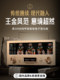 Youtang Mk9000 Tube Amplifier Audiophile-Grade 300B Tube Amplifier Pure Class a Push-Pull High-End Hifi Tube Amplifier