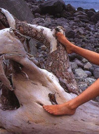 Meritocratic portrait photography collection 