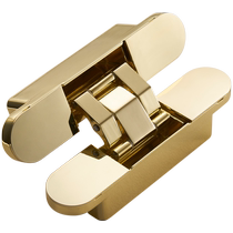 Daolu invisible hidden hinge three-dimensional adjustable hidden load-bearing door built-in hidden cross hinge modern and beautiful