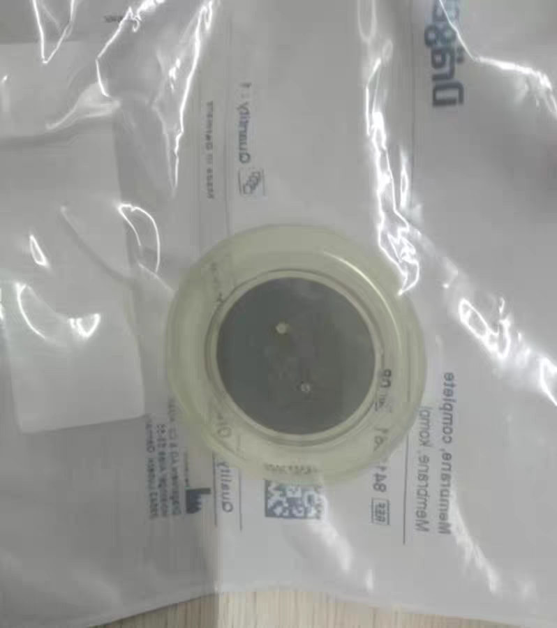 德尔格呼吸器机savina原装配件呼出端呼气阀配件膜片瓣膜8413661