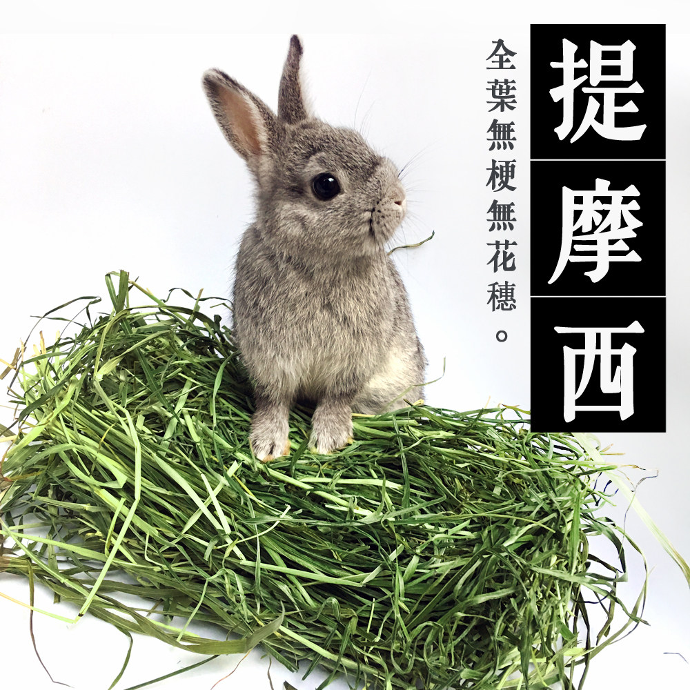 22 years of Helda drying TiMoses rabbits herda nanti rabbit grass rabbit feed ti Moshe grass