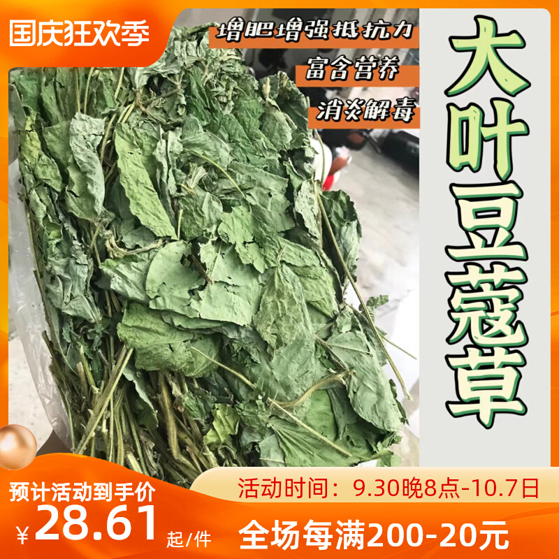 22 years of drying large-leaf cardamom grass rabbit chinchilla guinea pig hay food nutrition health care grass anti-inflammatory 500g