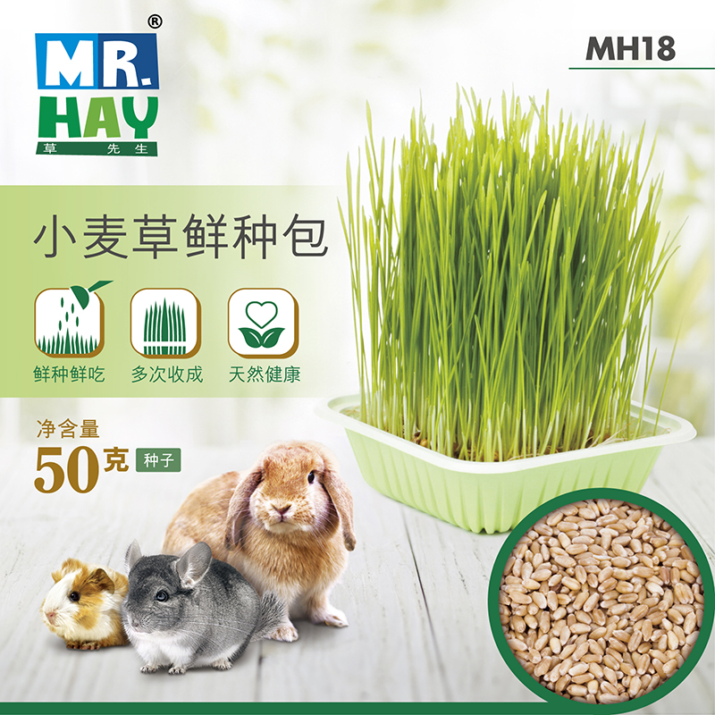 Mr. Grass wheatgrass seed 50g rabbit chinchilla guinea pig guinea pig guinea pig wheatgrass seed