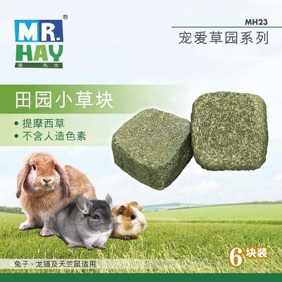 Mr. Grass's field Park small grass block 6 pieces of small darling grinding tooth Grass Brick Dragon Cat Rabbit Tian Geranium Dutch Pig Snacks