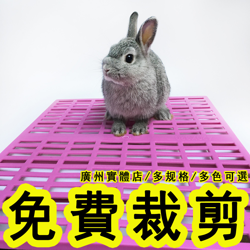 (Tailoring) Pet Footbed Rabbit Cage Footbed Rabbit Plastic Mat Protection Sole Dutch Pig Hard Plastic Footbed Anti-Nibble