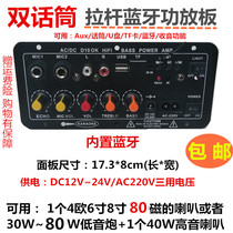 Dual microphone karaoke lever power amplifier board built-in Bluetooth radio adjustable reverb 12V24V220V