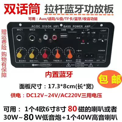 Dual microphone karaoke lever power amplifier board built-in Bluetooth radio adjustable mixer 12V24V220V