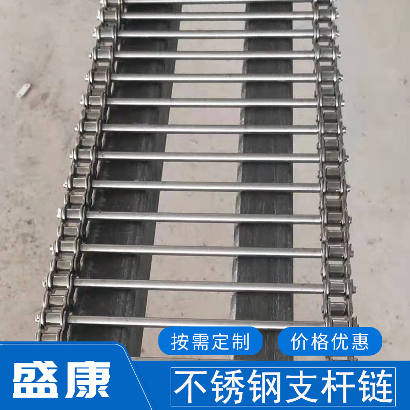 304 stainless steel egg conveyor strut chain Vegetable cleaning pho conveying line String rod chain type mesh belt