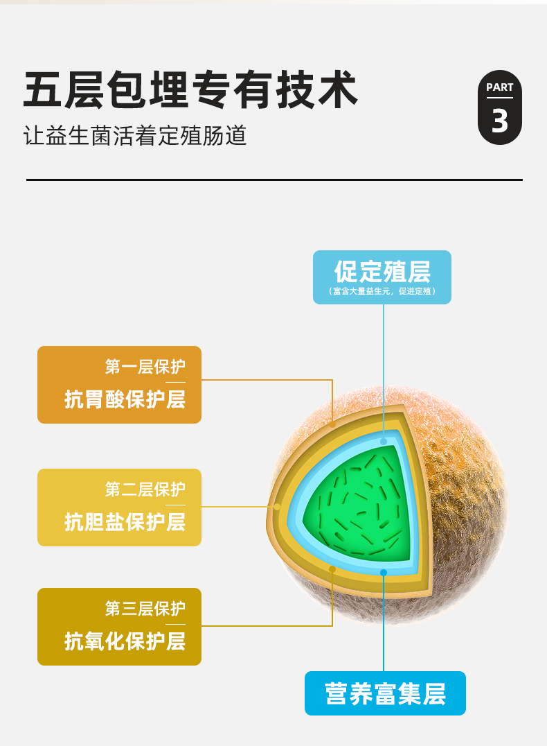 【赫尔仕康】益生菌冻干粉1盒20袋