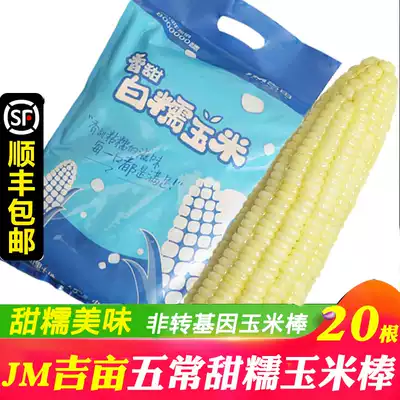 Jimu Wuchang Sweet Glutinous Corn Cob FCL 20 non-genetically modified sticky glutinous white corn sticks with skin