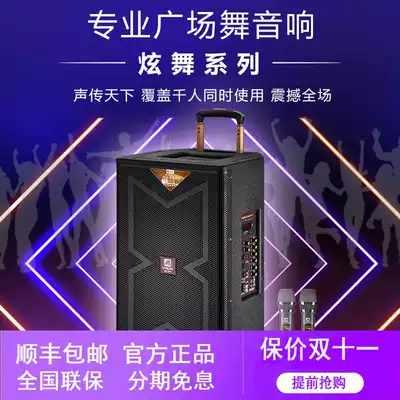 Manlong Square Dance Audio Outdoor High Power Professional Performance Subwoofer Mobile Rod Speaker Wireless Bluetooth