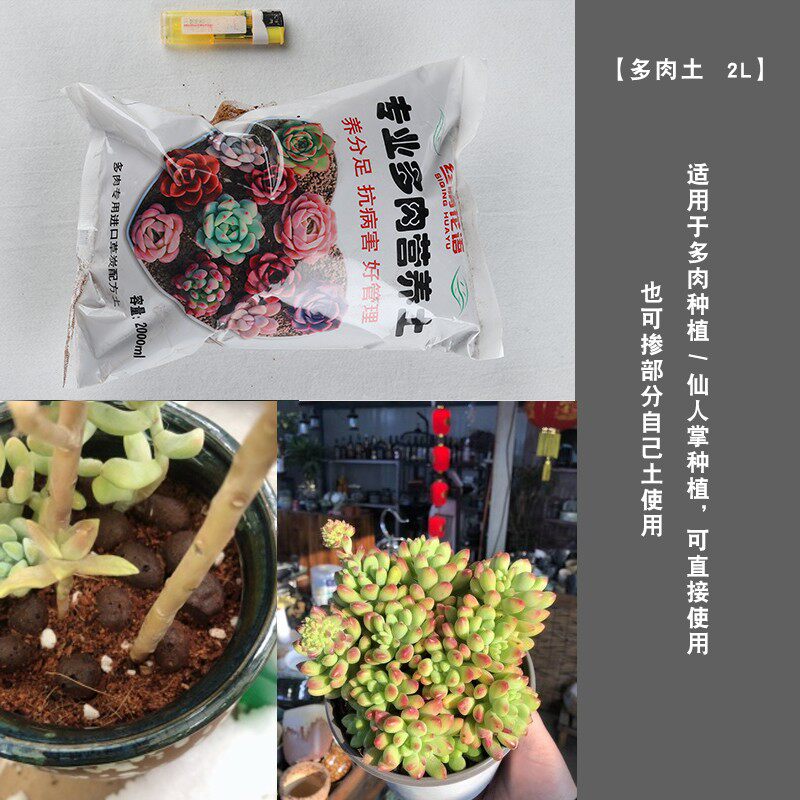 Meat flowerpot nutrient soil ceramsite medical stone green plant tree special soil fertilizer nutrition tool insecticide