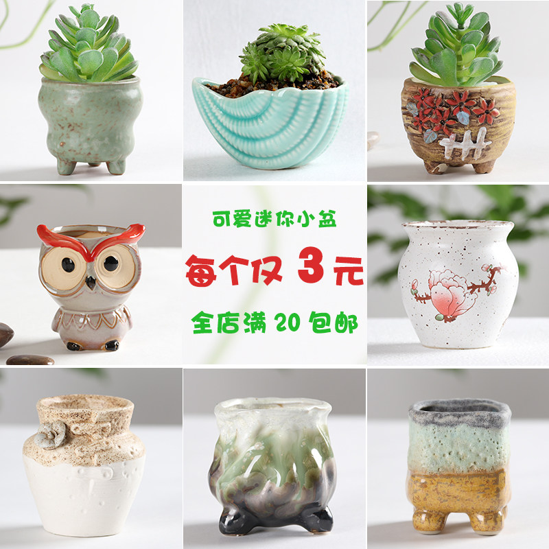 Eurostyle Mini Thumbs Multi Meat Flowerpots Cartoon Animals Green Fancy Small Number Creative Cute Flowers full 10