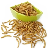 Хлеб -хлеб для хомя