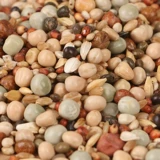 Нет кукурузного голубя голубей голубей голубей, часовой подача голубя с ярлинином 2,5 кг бесплатной доставки