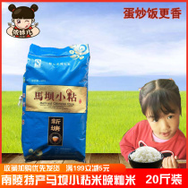 Authentic mouse tooth oil sticky rice Nanling rice new rice millet fragrant sticky rice farmhouse late indica rice 20kg 10kg
