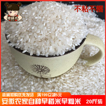 Nongjia Xiangxin Rice Anhui Early Rice Early Indica Rice Non-sticky Brown Rice Intestine Powder Special Nanling Rice 20 kg 10kg