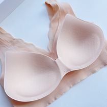 081014 ~ simple comfortable type no steel ring detachable ~ womens bra