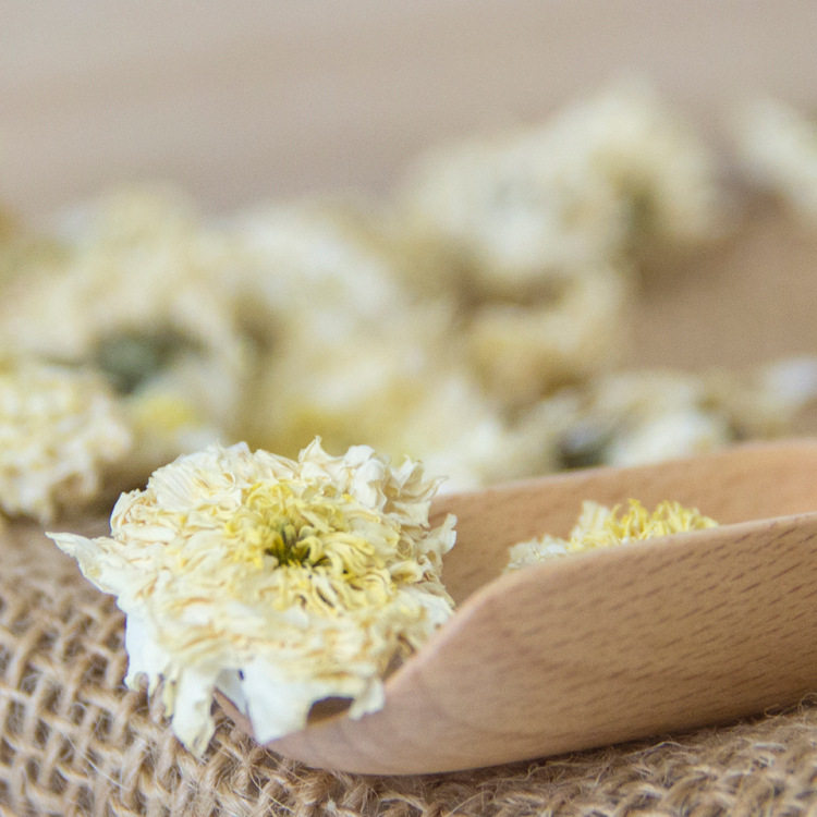 Zhengzong Special Class Huangshan Gongju Golden Chrysanthemum Throne Chamomile Chamomile Chamomile Chamomile can be matched with dwarf lilyturf water and clear fire