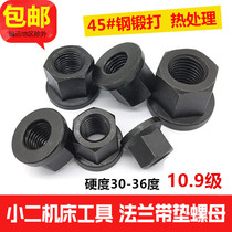 10 Class 9 flange nut padded mold platen nut M8M10M12M14M16M18M20-M30 High strength