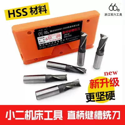 Double six 66 straight shank keyway milling cutter Two-edged 2-edged HSS high-speed net milling cutter Milling processing 34568-20mm