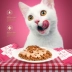 Mèo ăn nhẹ mèo mèo bĩu môi mèo nhỏ mèo vào mèo dinh dưỡng vỗ béo tươi thức ăn ướt mèo gói 15 g * 8 - Đồ ăn nhẹ cho mèo hạt cuncun cho mèo Đồ ăn nhẹ cho mèo