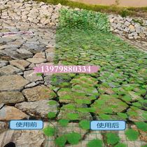 Mountain covered green leaf net green protection net artificial simulation green plant camouflage mesh wall decoration network beautification environment