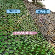 Mountain green shelter slope simulated green leaf net defense covered slope protective plant climbing vine mine protection