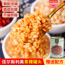 Ready-to-eat Highland Barley Canned 425g Home Highland Barley Oat Sweet Red Bean Taro Round Accessories Coco Milk Tea Shop Raw Materials