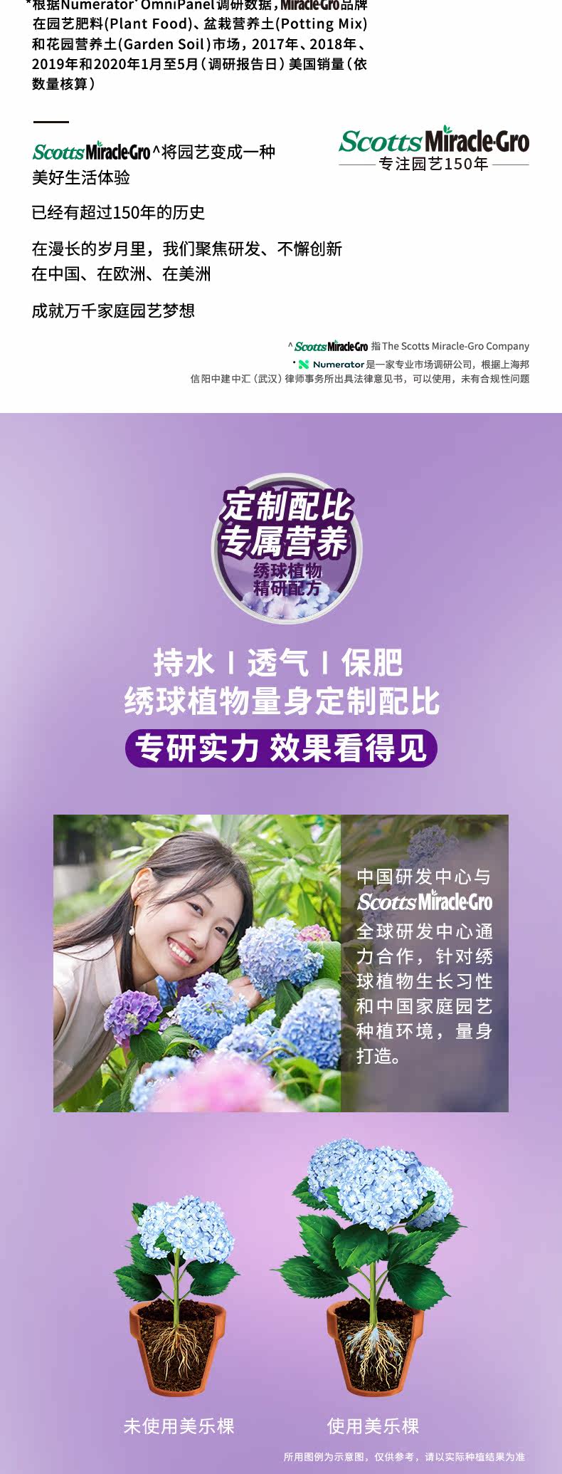 Hydrangea 8l1_02.jpg