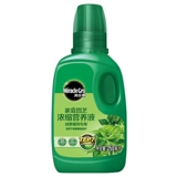 Meluke Green Специальное питательное растение горшок с горшками Популярные посаженные цветочные жиры Семейство садоводство садоводство.