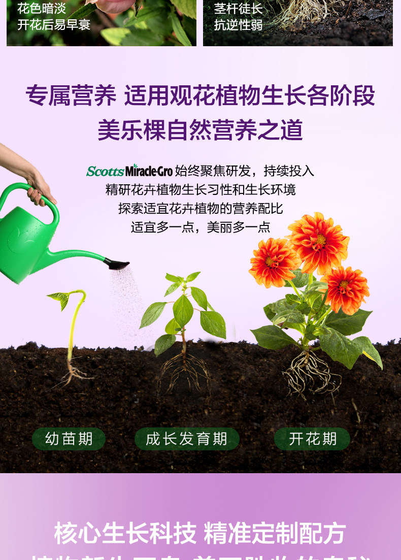 Flowers-1l-1_04.jpg