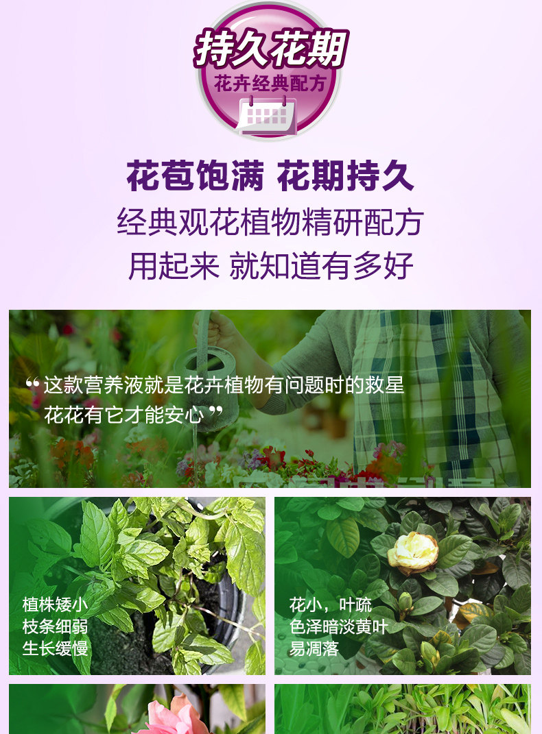[花卉2501_03.jpg]