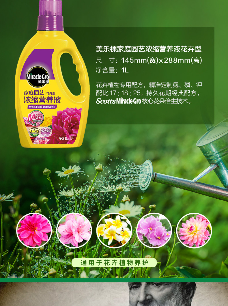 Flower-3_05.jpg