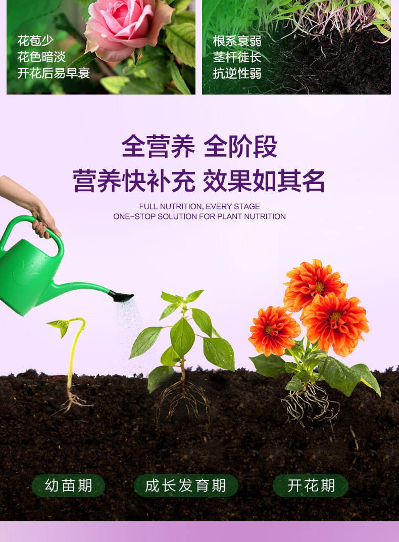 [花卉2501_04.jpg]